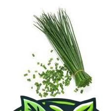 CHIVES
